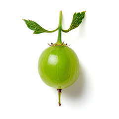Vividly presented, the whole green gooseberry stands out against a seamless white backdrop