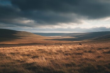 vast moorland with roaming deer, under the evening sky, casting long shadows across the landscape