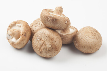 Shiitake mushrooms are mushrooms of the Oyster family. The stem is curved and short, and the cap is 4 to 10 cm in diameter, round or heart-shaped, and dark purple.