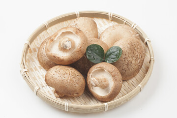 Shiitake mushrooms are mushrooms of the Oyster family. The stem is curved and short, and the cap is 4 to 10 cm in diameter, round or heart-shaped, and dark purple.