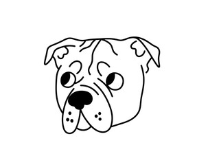 Vector isolated Ca de Bou dog breed face portrait art design idea colorless black and white contour line easy drawing	