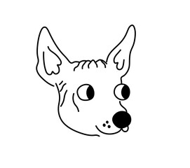 Vector isolated xolo xoloitzcuintle dog breed head portrait colorless black and white contour line easy drawing