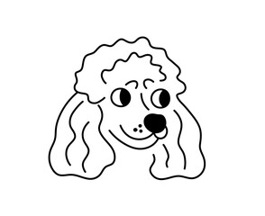 Vector isolated poodle dog breed head portrait colorless black and white contour line easy drawing