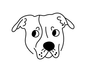 Vector isolated amstaff staffordshire terrier pit bull american dog breed head portrait colorless black and white contour line easy drawing