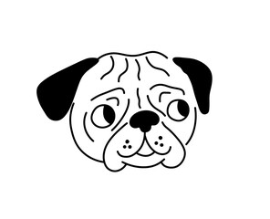 Vector isolated pug mops dog breed head portrait colorless black and white contour line easy drawing