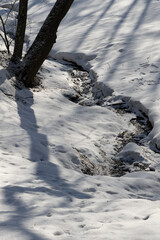 Spring scene with a stream flowing among melting snowdrifts and sparkling in the bright March sun vertical orientation