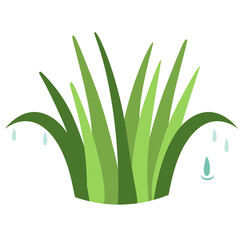 Cute green cartoon grass vector illustration with dew drops. Ideal for children's designs, nature themes, or playful creative projects. Scalable, high-quality vector