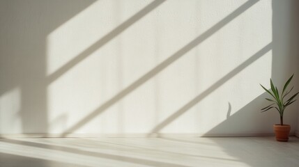 Fototapeta premium Sunlight Shadows on White Wall