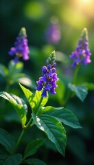 large leafy green foliage provides a stunning backdrop for small clusters of purple flowers, glowing,