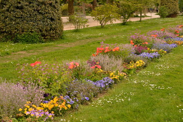 Flower bed with color flowers in park. Springtime.