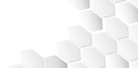 Navigating the Digital Maze: White and Gray Hexagonal Grid Patterns and 3D Lines as the Building Blocks of Modern Technology Aesthetics

