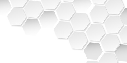 The Power of Geometric Simplicity: An Exploration of Hexagonal Patterns, White and Gray Tones, and Their Impact on Digital Design and Technology
