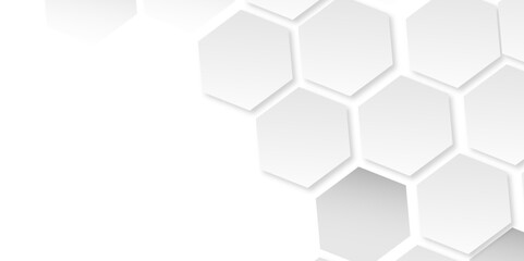 Navigating the Digital Maze: White and Gray Hexagonal Grid Patterns and 3D Lines as the Building Blocks of Modern Technology Aesthetics

