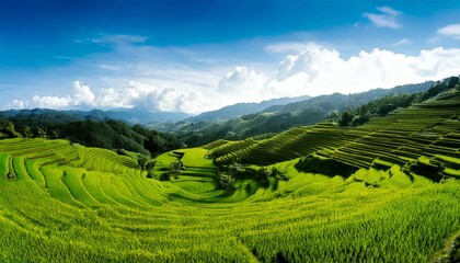 Rural Scenery with Green Terraced Rice Fields