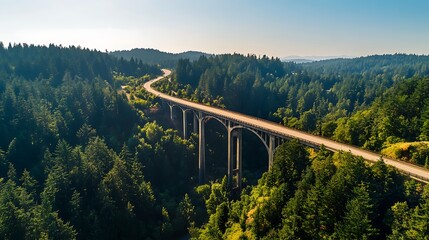 Aerial View of Winding Road Bridge Through a Forest Landscape