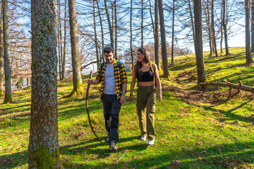 Fototapeta premium Hikers walking in forest on sunny day
