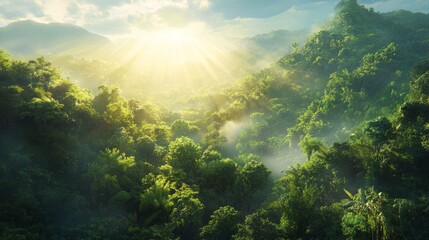 Obraz premium Aerial view of lush green forest with sunlight breaking through, nature and tranquility, ultra-detailed, 8k