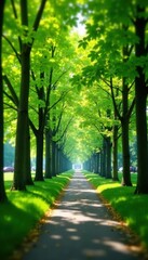 Obraz premium Blurred city park foliage, vibrant green trees, trees, natural