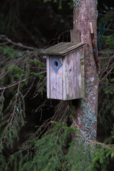 Bird House