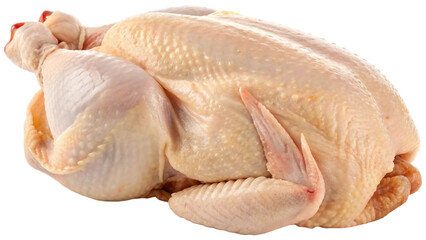 Single fresh whole raw chicken. The chicken's plump, smooth skin has a natural, slightly glossy texture, reflecting its freshness and high quality isolated on white background. PNG file