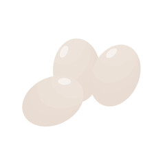 Fresh Egg Illustrations for Cooking and Breakfast