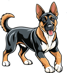 Belgian Malinois dog vector illustration white background
