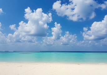 Fototapeta premium Virginia beach beautiful tropical beach with palm trees, coconut palms, and clear blue water under a sunny sky