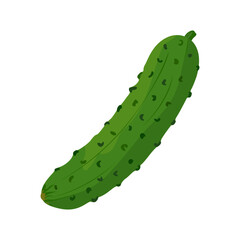 Cucumber icon. Fresh green cucumber, vegetable. Vector illustration of healthy food on white background.