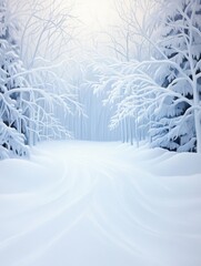 Fototapeta premium A snowy forest path with trees covered in snow