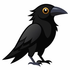 vector illustration of a crow on white background.