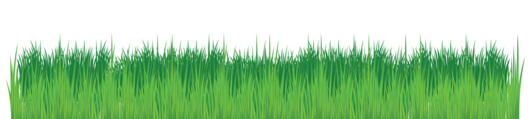 editable vector grass for desain