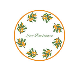  Sea buckthorn label design. Vector illustration for packaging design, and Sea buckthorn natural products.