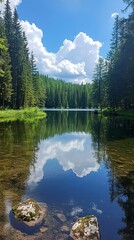 Fototapeta premium Calm lake reflects the fluffy clouds and forest trees in daylight