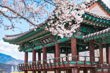 traditional Korean gazebo in spring time