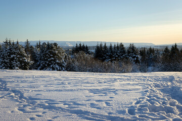 winter landscape with snow covered fir trees