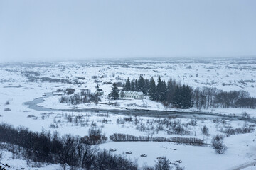 winter landscape with snow covered trees at Thingvellir National Park