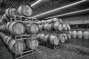 Cantina con botti di vino.