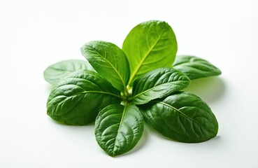 Fototapeta premium Fresh vibrant baby spinach leaves isolated on white background. Perfect ingredient for culinary uses, salads, cooking recipes, garnishing. Macro closeup, food photography raw freshness, healthy