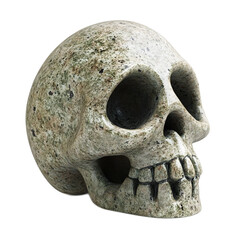 Mysterious Fossilized Alien Skull Relic from Prehistoric Era