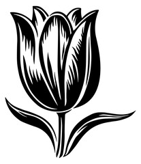 black silhouette of a flower or tulip without background