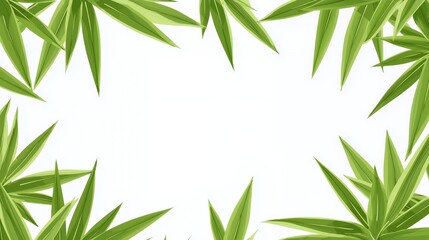 Fototapeta premium Green Leaves Frame on White Background