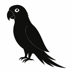 vector illustration of a bird