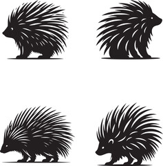 Porcupine Silhouette Collection - Vector Illustrations