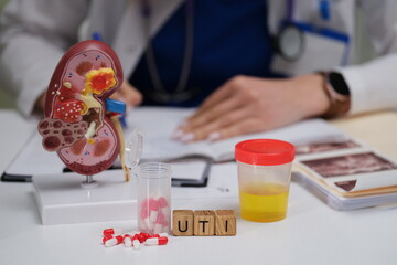 Diagnosing Urinary Tract Infections UTIs using kidney models, urine samples, and medical analysis tools