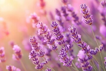 Obraz premium Discover Serene Bliss With Aromatherapy Scents Featuring Fresh Flowers and Natural Elements for Relaxation and Harmony