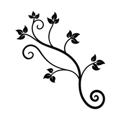 floral design element vector illustrator