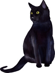 Watercolor illustration black cat