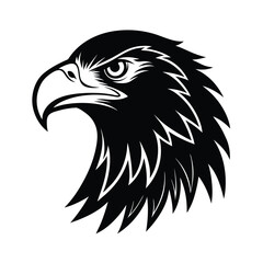 eagle head vector illustration