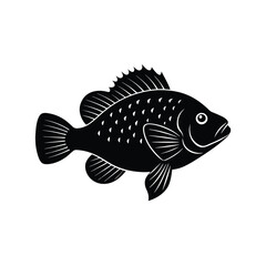 Crappie Silhouette Vector Art and Black Crappie Fish Illustration Design
