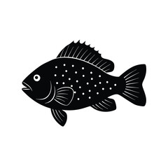Crappie Silhouette Vector Art and Black Crappie Fish Illustration Design